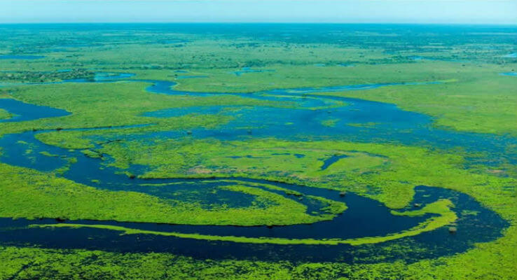 pantanal