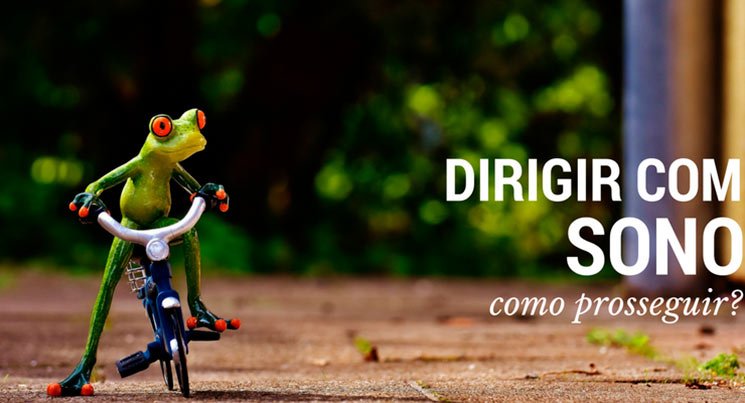 imagem de um sapo em miniatura em uma bicicleta com a legenda "dirigir com sono. como prosseguir?"